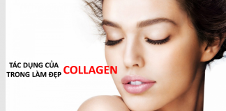 tác dụng collagen, những thực phẩm giàu collagen