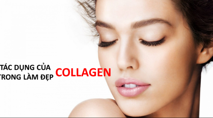 tác dụng collagen, những thực phẩm giàu collagen